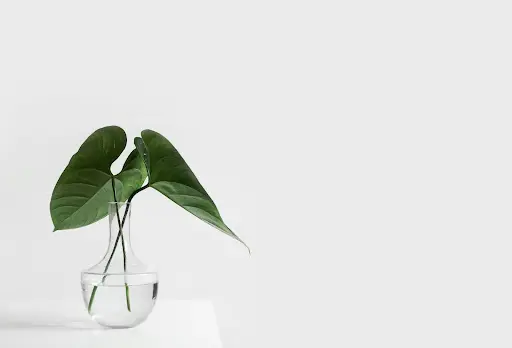 整体後に痛みを感じたときの3つの対処法