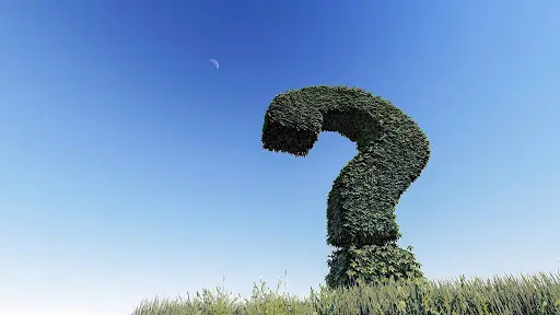 整体の痛みに関するよくある質問