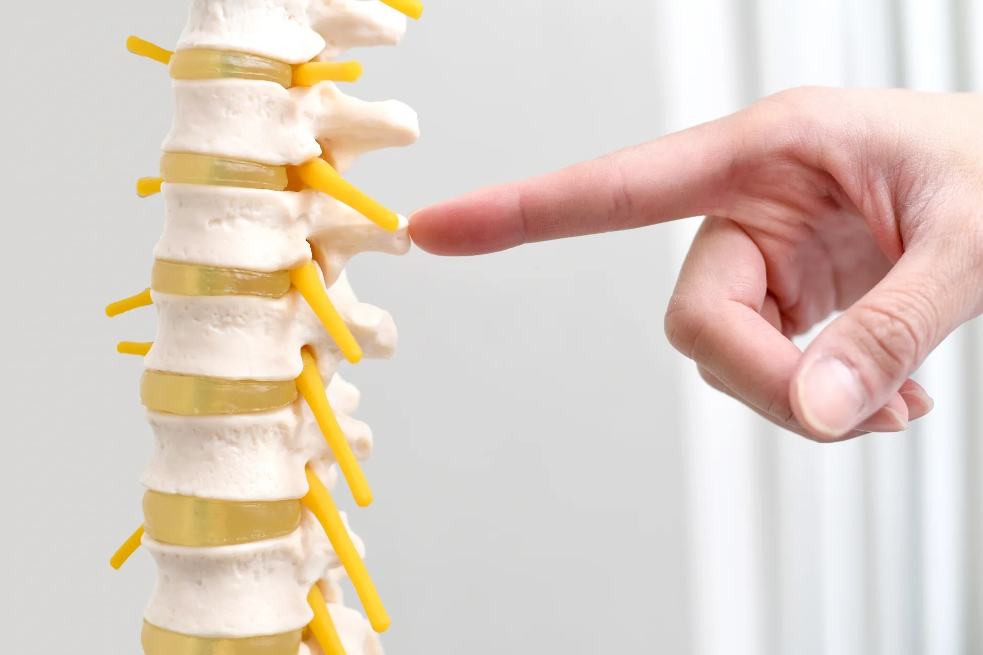 神経・筋肉の疾患